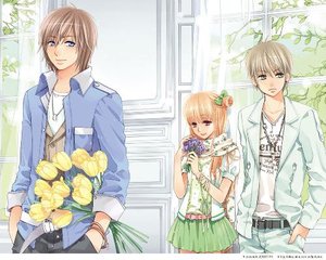 红杏补单官网入口