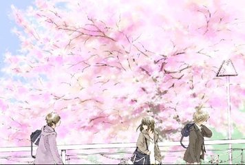 蘑菇短视频入口